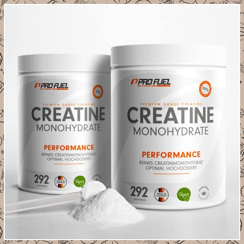 Creatina monohidratada en polvo 1kg / 1000g - Creatina monohidratada en calidad micronizada - óptimamente dosificada - creatina pura en polvo sin aditivos - 100% vegana - para 292 dias