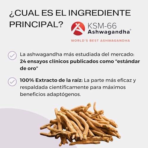 Ashwagandha KSM-66 con Azafrán + Triptófano + Vitamina B6 y Cromo | Apoyo al Bienestar General y Descanso Óptimo | Ingredientes de Origen Vegetal para Balance Diario | 60 Cápsulas Veganas