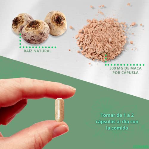 Maca Andina en Cápsulas. Potente Suplemento, 4.000mg Concentrado (4:1) Energía, Resistencia, Memoria, Líbido, Inmunidad y Equilibrio Hormonal - 60 Caps Fabricado en España.