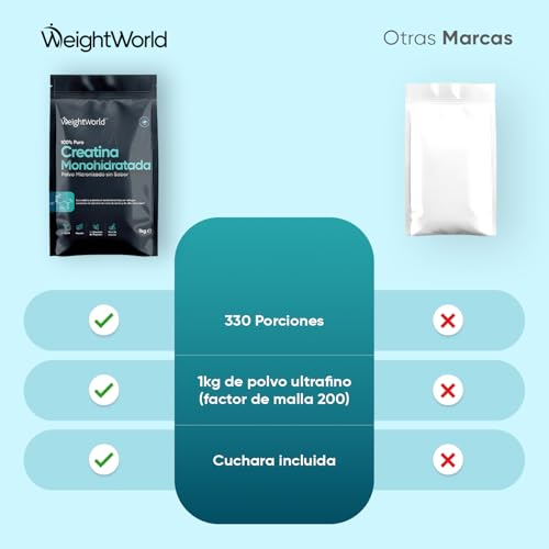 Creatina Monohidratada en Polvo 1kg/1000g para 330 Días - 100% Puro, Factor de Malla 200, 100% Monohidrato de Creatina Micronizada - Sin Sabor, Vegana, Sin Estearato de Magnesio, Cuchara Incluida