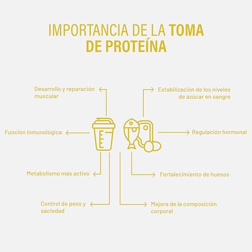 Beverly ZERO DELICATESSE | 1 Kg | Proteína Hidrolizada Whey 85% | Con Digezyme y Tolerase | 1 Mes de uso | Masa muscular, Fuerza y Recuperación | Shaker Gratis | Delicioso Sabor (PIÑA)