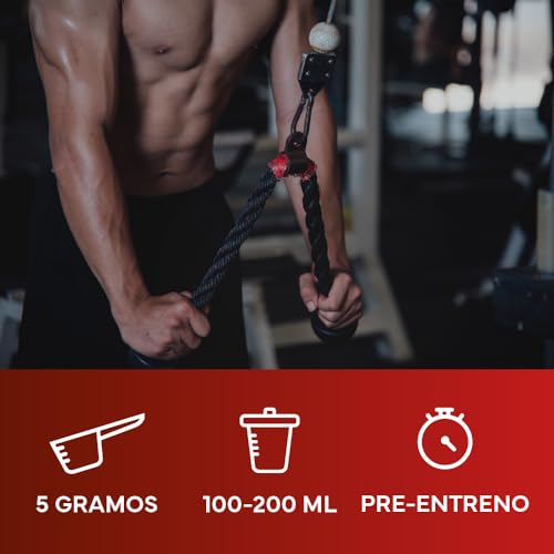 MUSCLE MASTER Creatina Monohidrato 300G
