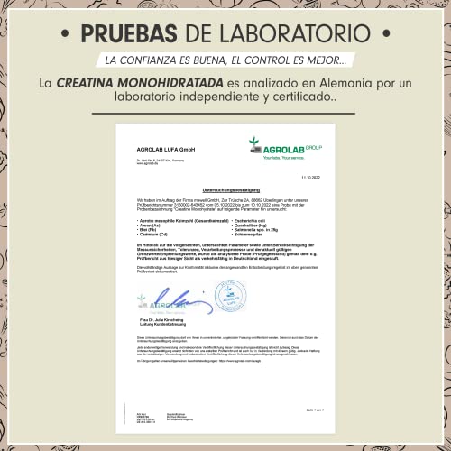 Creatina monohidratada en polvo 1kg / 1000g - Creatina monohidratada en calidad micronizada - óptimamente dosificada - creatina pura en polvo sin aditivos - 100% vegana - para 292 dias