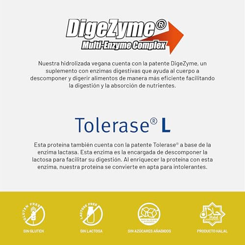 Beverly ZERO DELICATESSE | 1 Kg | Proteína Hidrolizada Whey 85% | Con Digezyme y Tolerase | 1 Mes de uso | Masa muscular, Fuerza y Recuperación | Shaker Gratis | Delicioso Sabor (PIÑA)