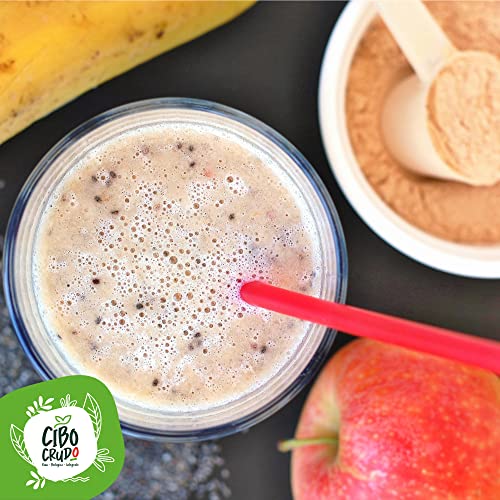 Proteína de Semillas de Girasol en Polvo Orgánica y Cruda - 500g. Proteínas Vegetales y Veganas Ecológicas Sin Lactosa y Sin Gluten. Fuente de Aminoácidos y Fibra. Organic and Vegan Protein Powder.