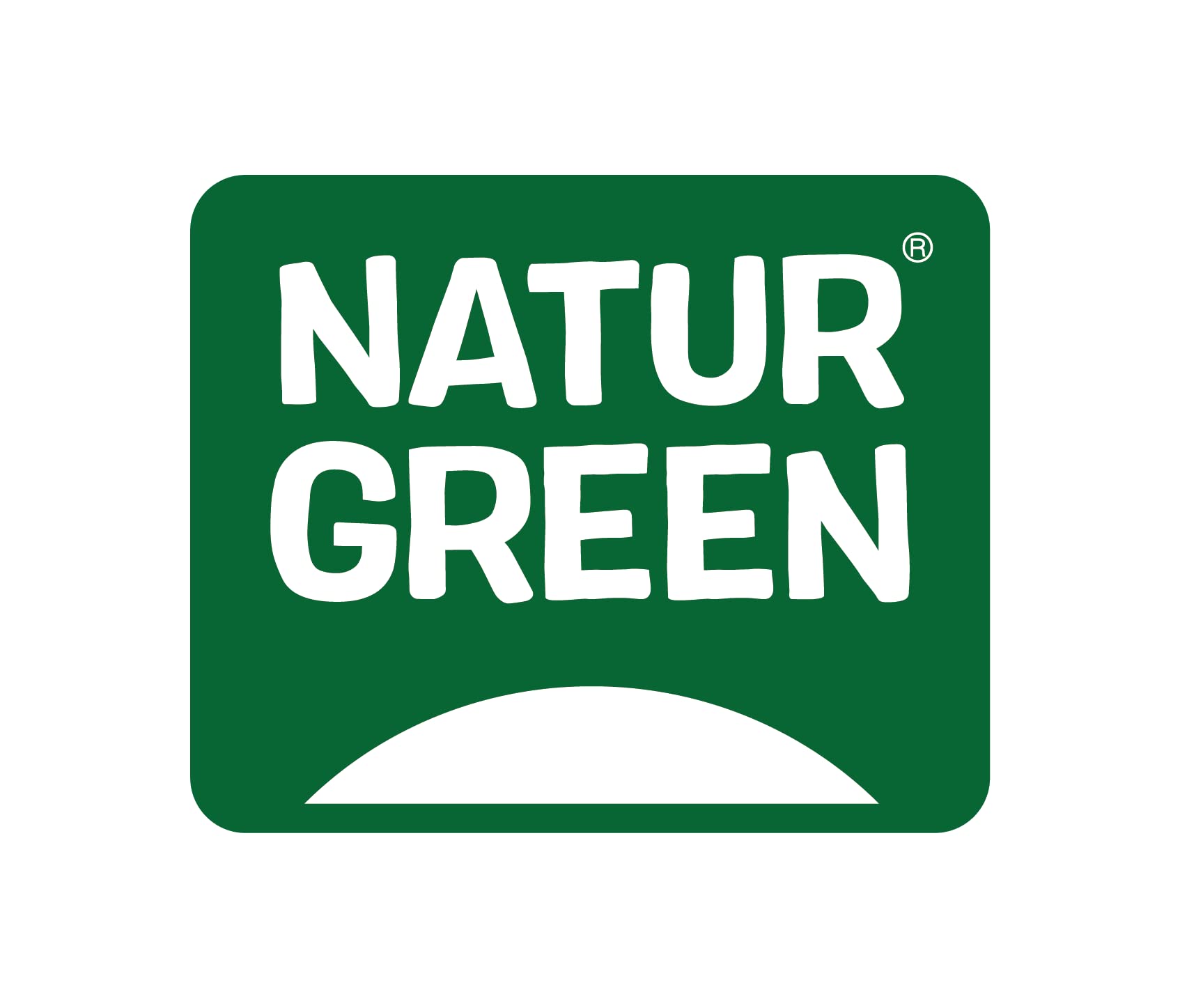 NaturGreen - Proteína de Guisante BIO, Concentrado de Proteína Ecológica, Superalimento, Polvo de Proteínas y Aminoácidos, 100% Vegano - 500 g