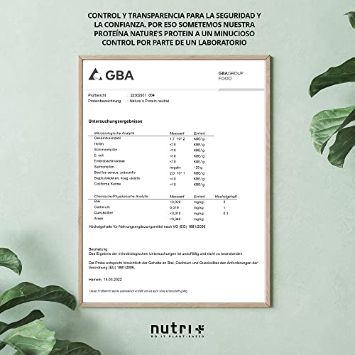 nutri+ Vegan Protein Powder Vainilla Natural sin Edulcorantes 500g - 83,1% Proteínas Bebida Deportiva sin Lactosa para Batidos Sin Gluten Vegano