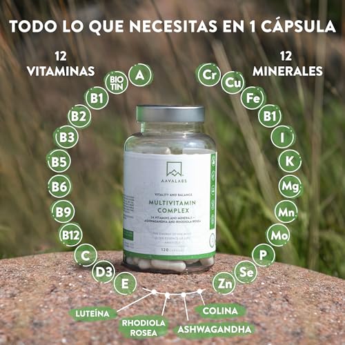 Multivitaminas con 24 Vitaminas y Minerales - Multivitaminas mujer y hombre - con Ashwagandha y Rhodiola Rosea - Multivitaminas y Minerales - 120 Cápsulas Complejo Vitaminico