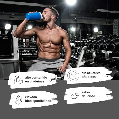 Alphatier Phenomenal Proteínas en Polvo con BCAA y EAA - Fresa 1 kg - 72% de Proteína - Strawberry Protein Powder - con Aminoácidos - sin Gluten + Lactosa - vegano