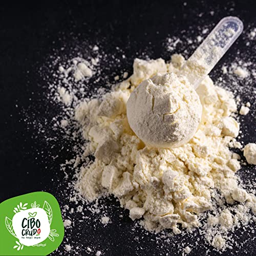 Proteína de Semillas de Girasol en Polvo Orgánica y Cruda - 500g. Proteínas Vegetales y Veganas Ecológicas Sin Lactosa y Sin Gluten. Fuente de Aminoácidos y Fibra. Organic and Vegan Protein Powder.