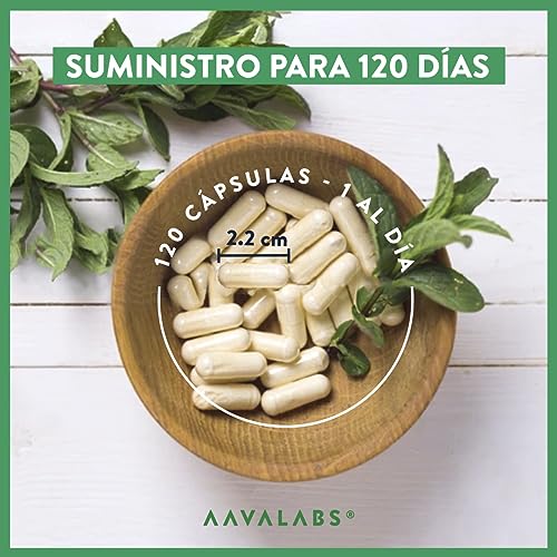 Multivitaminas con 24 Vitaminas y Minerales - Multivitaminas mujer y hombre - con Ashwagandha y Rhodiola Rosea - Multivitaminas y Minerales - 120 Cápsulas Complejo Vitaminico