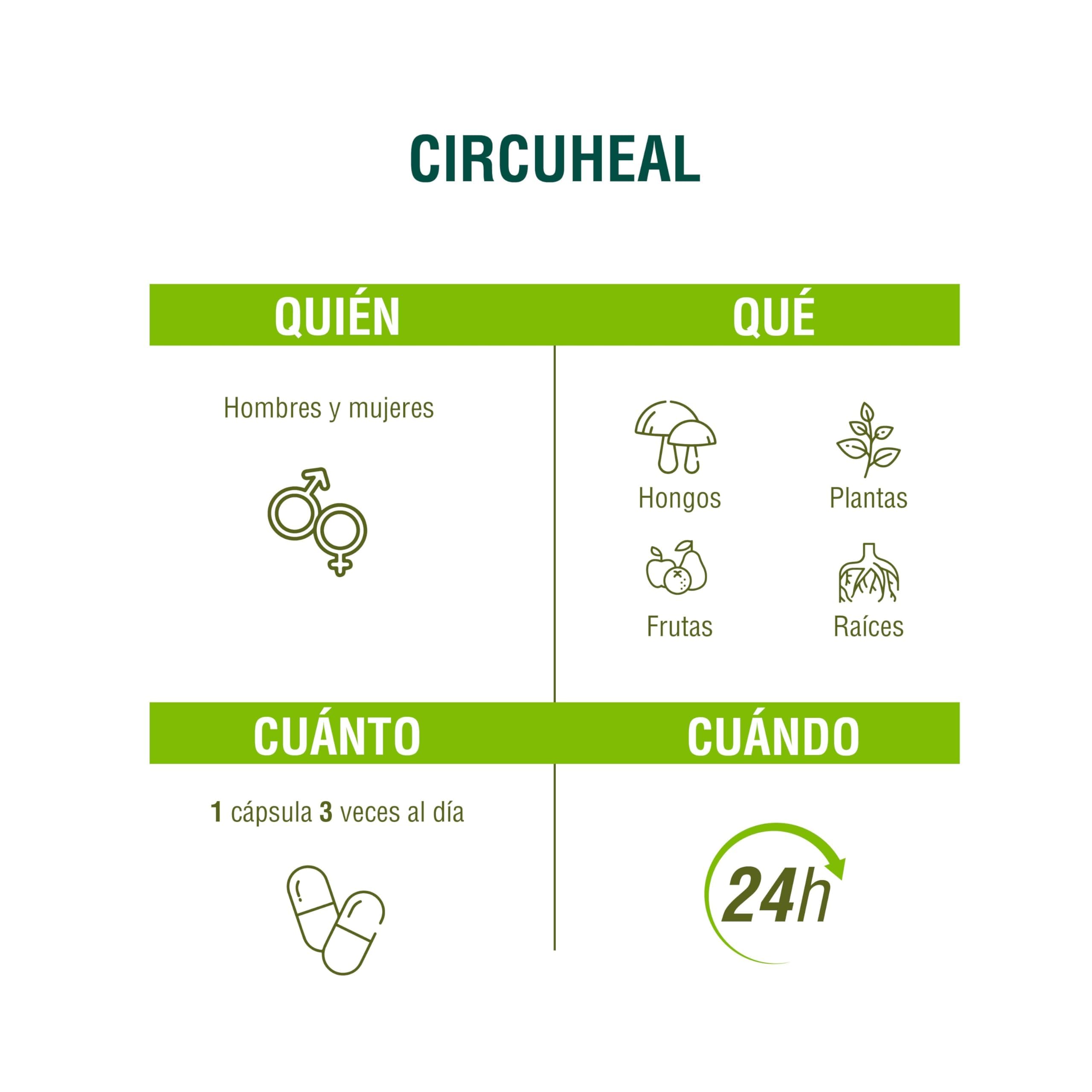 Adaptoheal Circuheal – Apoya el Sistema Circulatorio y la Salud Cardiovascular con Ginkgo Biloba, Rhodiola Rosea, Astragalus, Reishi – Vegano, Sin Gluten ni Lácteos (90 cápsulas)