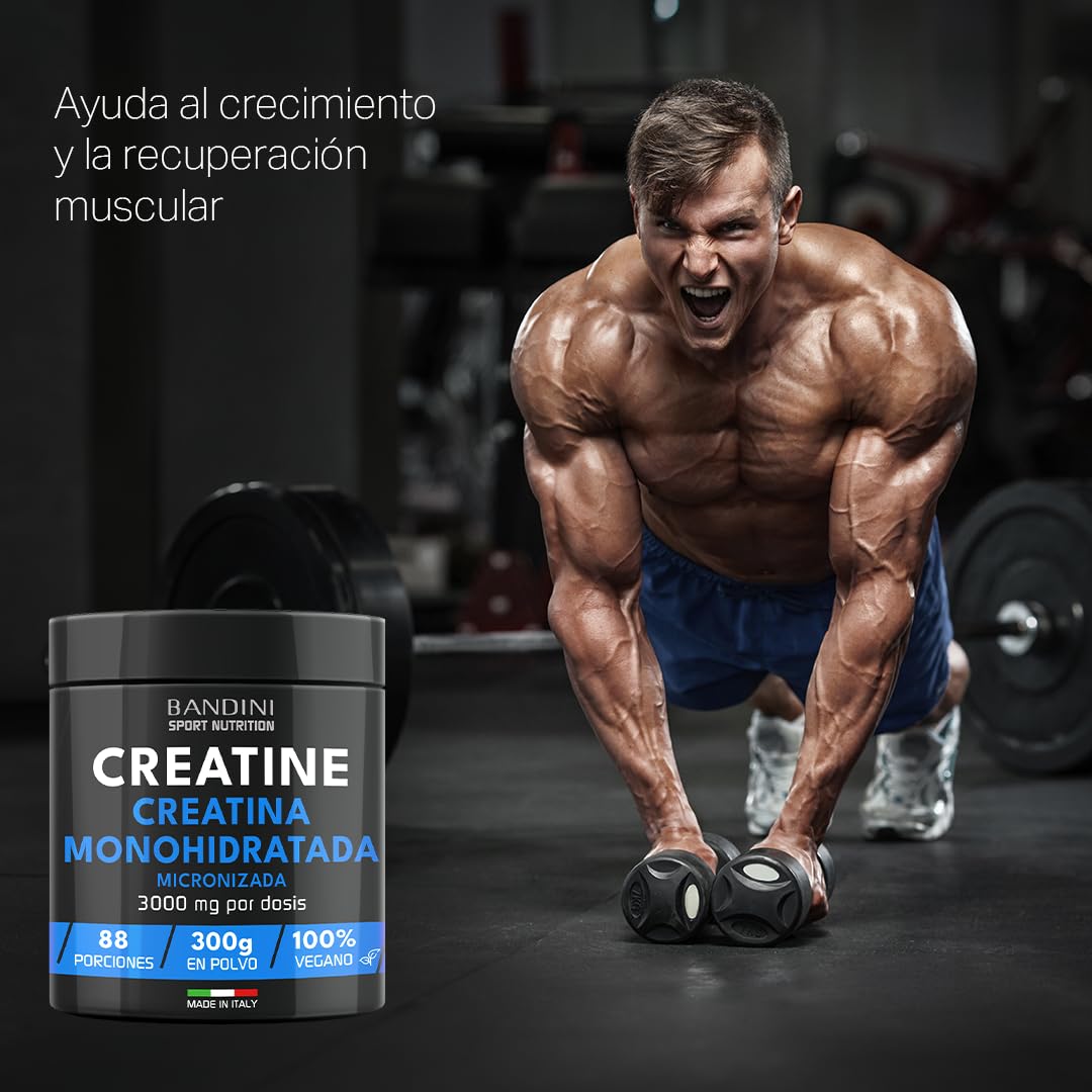 Bandini® Creatina en Polvo Micronizada - Monohidrato de Creatine 100% Puro para Rendimiento y Potencia Muscular - Sin Sabor - Incluye dosificador - 88 Porciones - 300 gramos Vegano - Creatine Powder