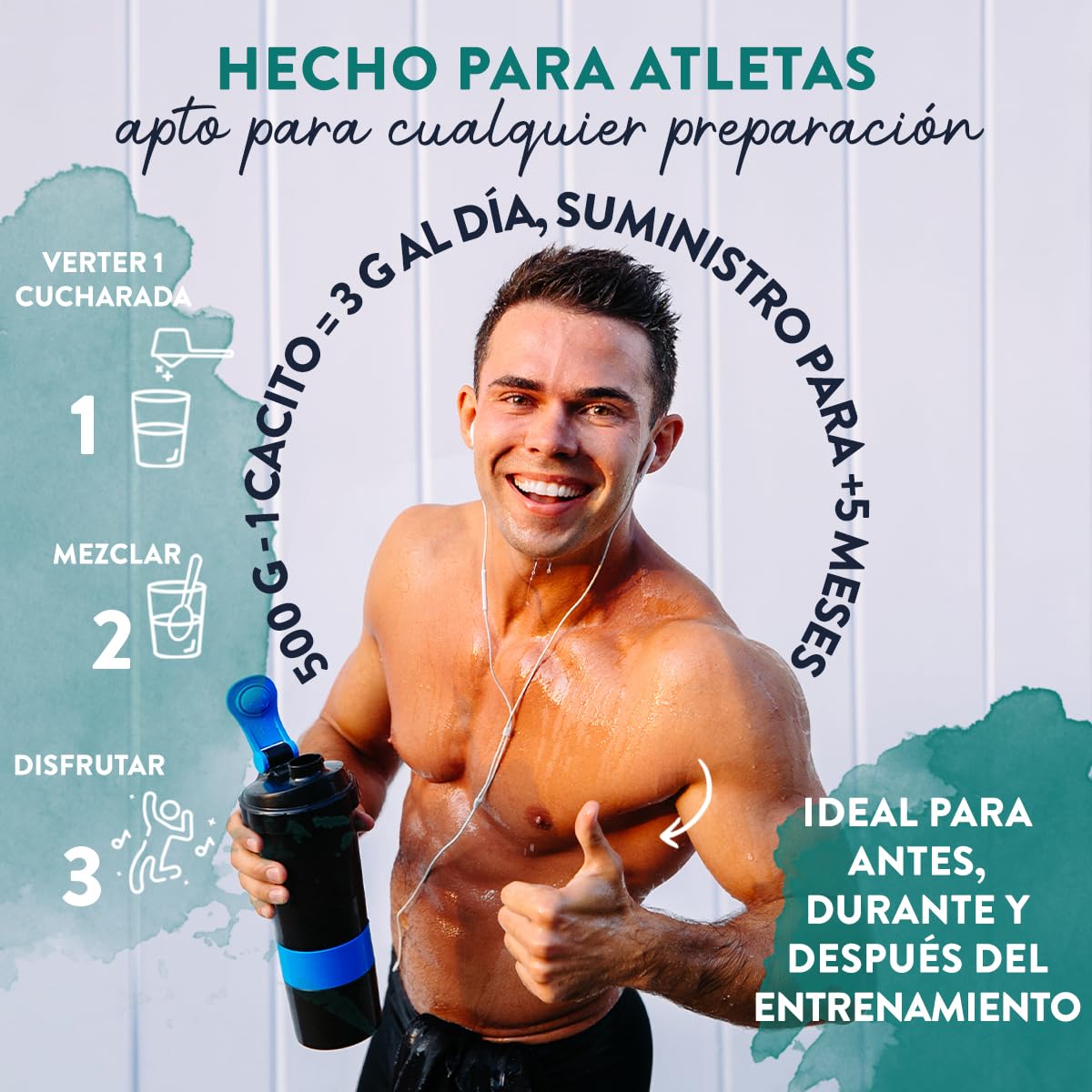 Creatina Monohidratada Micronizada en Polvo 500g -166 Porciones Creatina Vegana-Creatina Monohidrato Pre Entreno y Post Entrenamiento-Creatine Monohydrate con Vitamina B6 - Creatina en Polvo sin Sabor