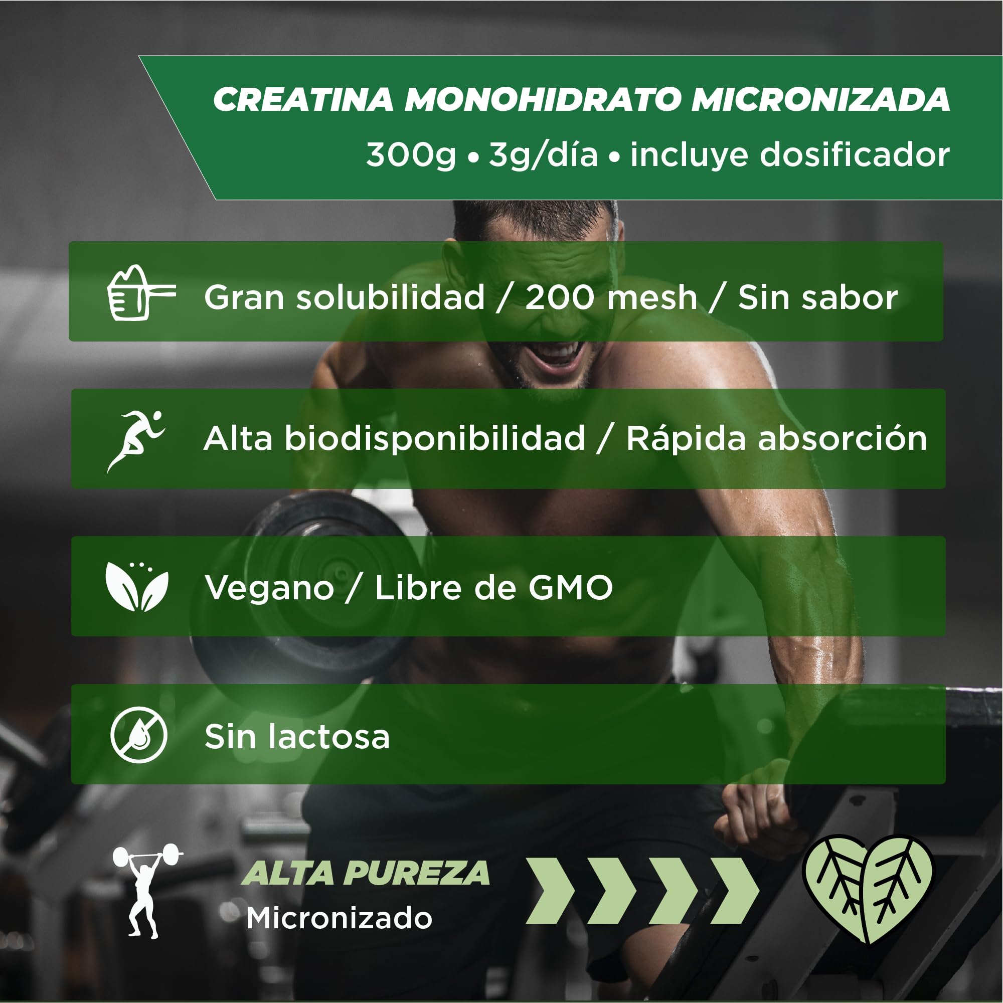 Foodelis Creatina Monohidratada en Polvo 300g / 100 Dosis - 100% Creatina Monohidrato Micronizada - Sin Sabor - Pura y Sin Aditivos - No-GMO - Alta Solubilidad - Incluye Dosificador