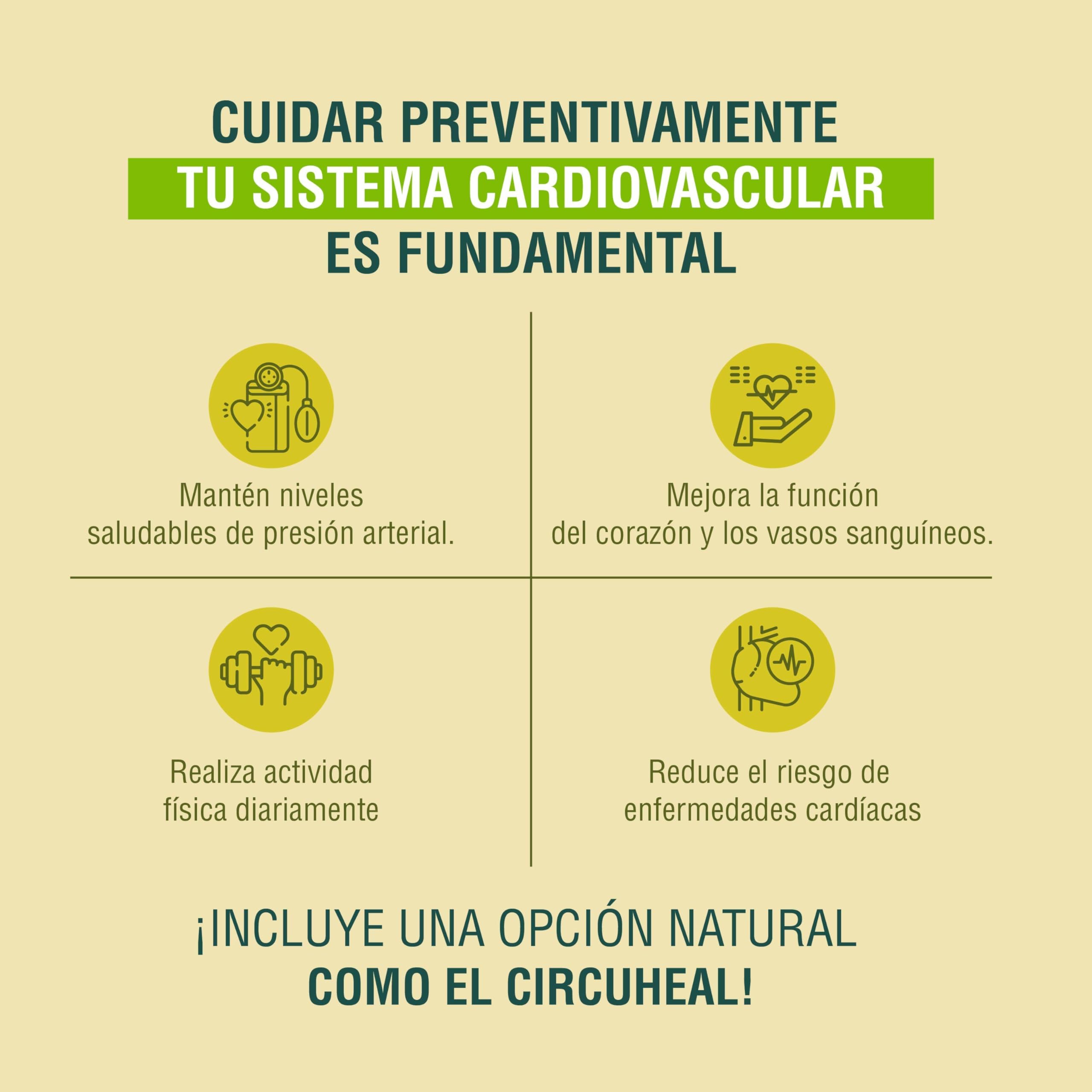 Adaptoheal Circuheal – Apoya el Sistema Circulatorio y la Salud Cardiovascular con Ginkgo Biloba, Rhodiola Rosea, Astragalus, Reishi – Vegano, Sin Gluten ni Lácteos (90 cápsulas)