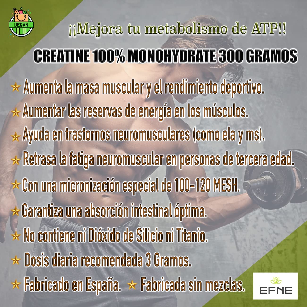 EFNE | Creatina 100% Monohidrato 100/120 Mesh Micronized | 300 Gramos en Polvo | 100% Pureza |Aumenta Resistencia | Aumenta Fuerza |Sabor Neutro | Vegano | Fabricada sin mezclas