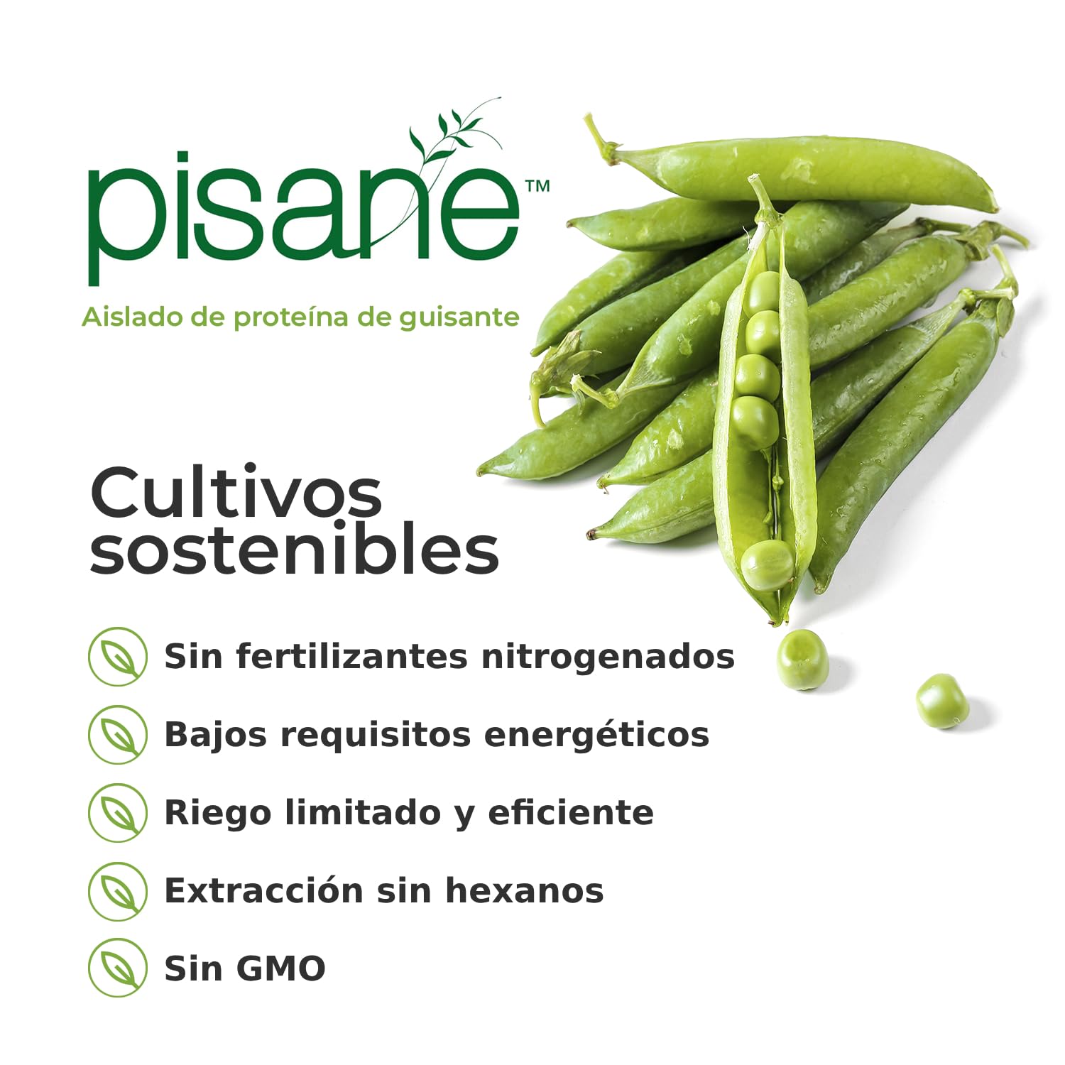Weider Vegan Protein (750g) Sabor Brownie-Chocolate. Proteína Vegana 21g/dosis Aislada Guisante (Pisane) y Arroz. Con Vitamina B12 y Stevia. Sin Gluten, Sin Azúcar. Bote 50% Reciclado, 100% Reciclable