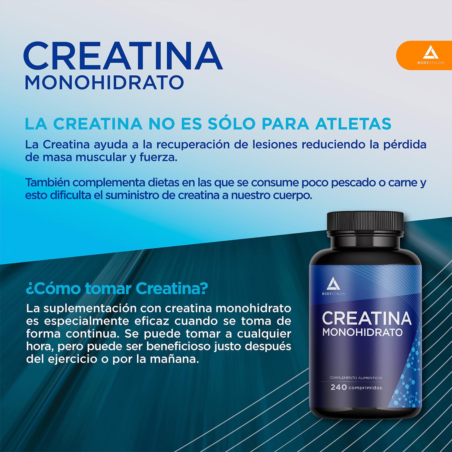 Bodyathlon- Creatina Monohidratada 240 comprimidos- Creatina pura 3000mg-Monohidrato de creatina-Aumenta tu masa muscular, fuerza y resistencia- creatina monohidratada sin gluten sabor neutro- Vegano