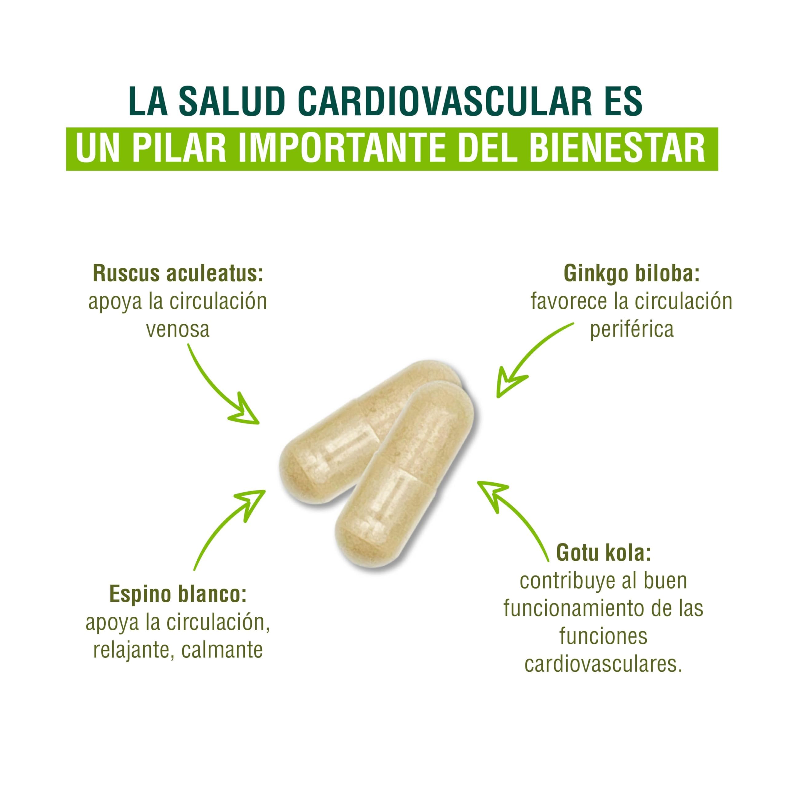 Adaptoheal Circuheal – Apoya el Sistema Circulatorio y la Salud Cardiovascular con Ginkgo Biloba, Rhodiola Rosea, Astragalus, Reishi – Vegano, Sin Gluten ni Lácteos (90 cápsulas)