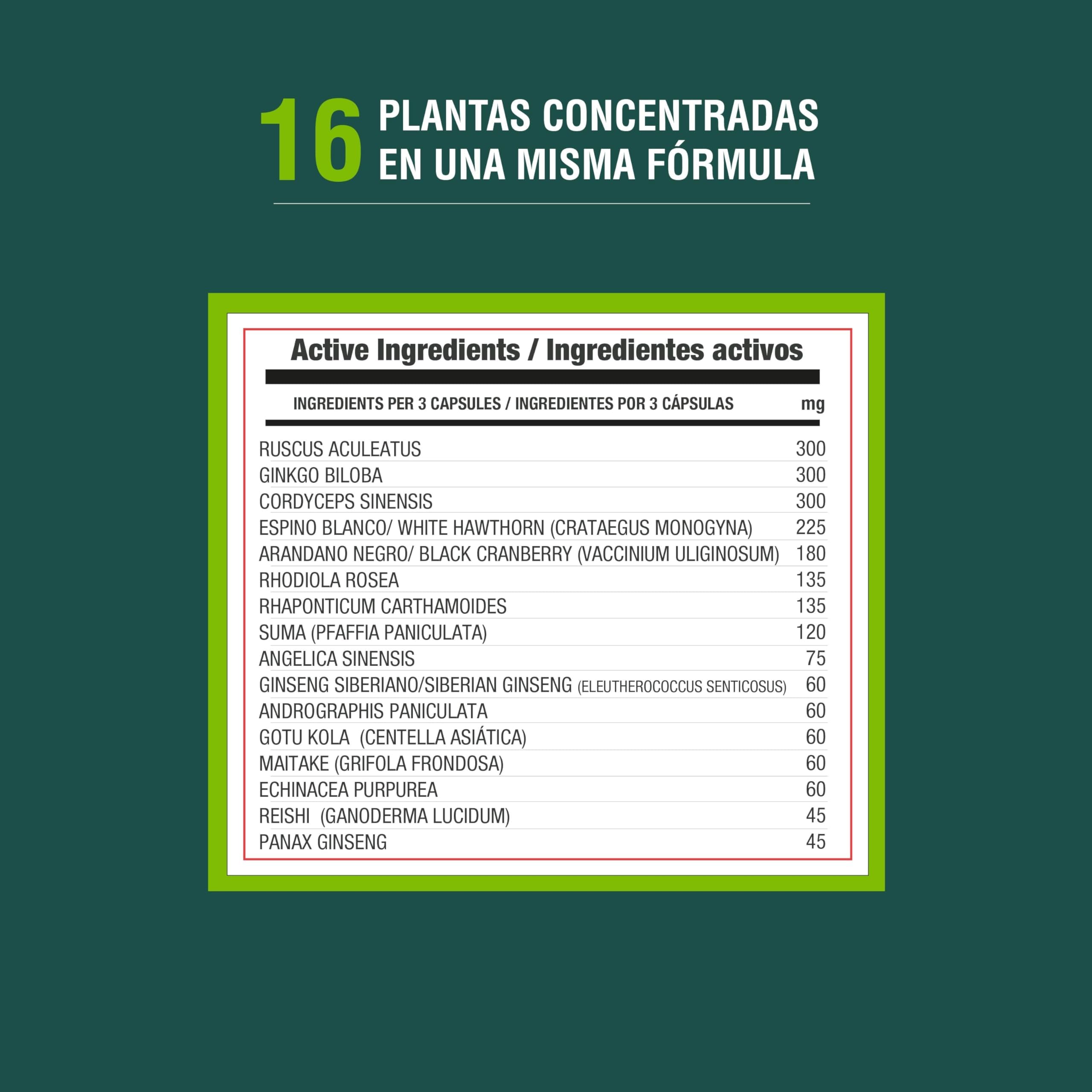 Adaptoheal Circuheal – Apoya el Sistema Circulatorio y la Salud Cardiovascular con Ginkgo Biloba, Rhodiola Rosea, Astragalus, Reishi – Vegano, Sin Gluten ni Lácteos (90 cápsulas)