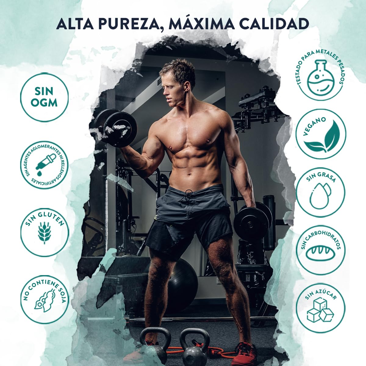 Creatina Monohidratada Micronizada en Polvo 500g -166 Porciones Creatina Vegana-Creatina Monohidrato Pre Entreno y Post Entrenamiento-Creatine Monohydrate con Vitamina B6 - Creatina en Polvo sin Sabor
