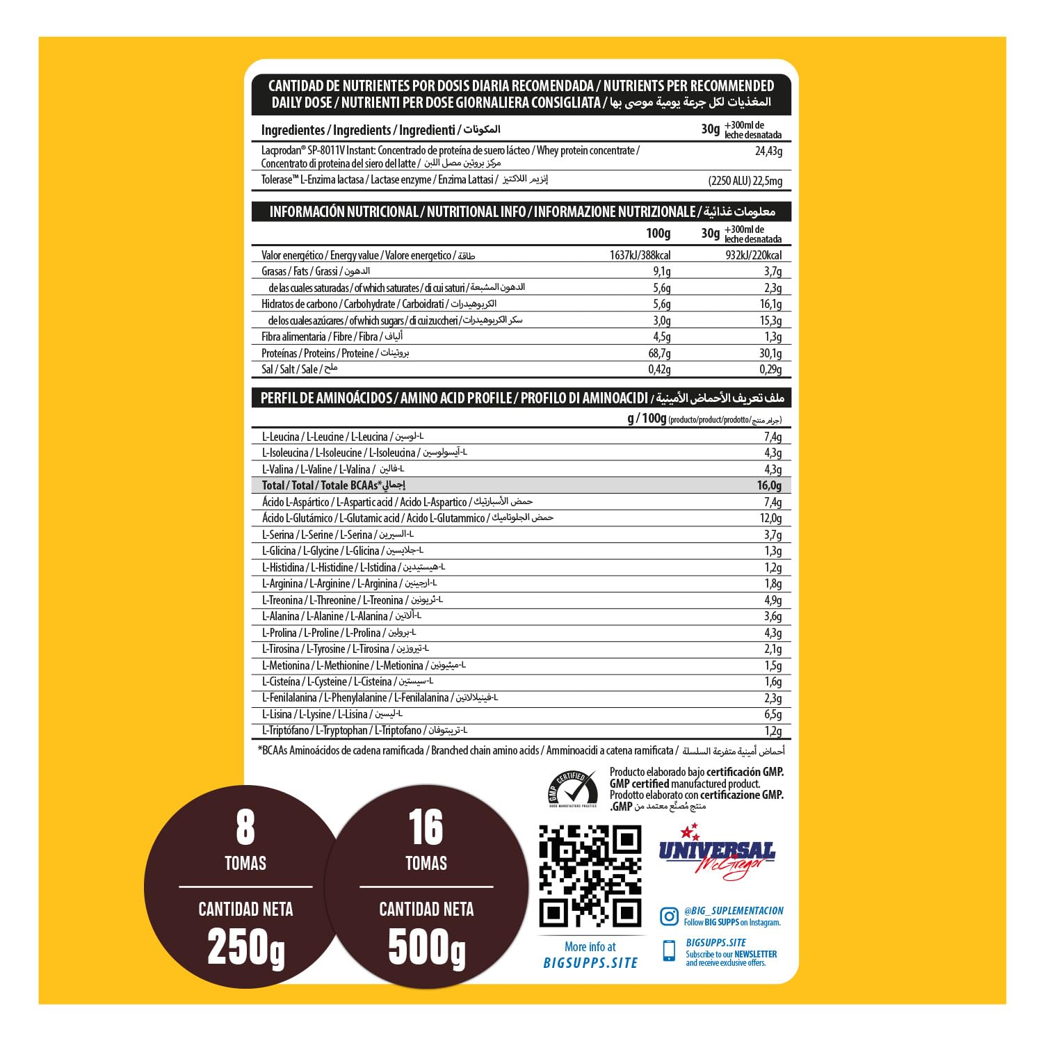 BIG - Proteinas Whey - Proteina en Polvo para Desarrollo de Masa Muscular y Recuperación - Materia Prima Premium - Whey Protein Sin Lactosa, Sin Azúcar, Sin Grumos (500g, Cacaolat)
