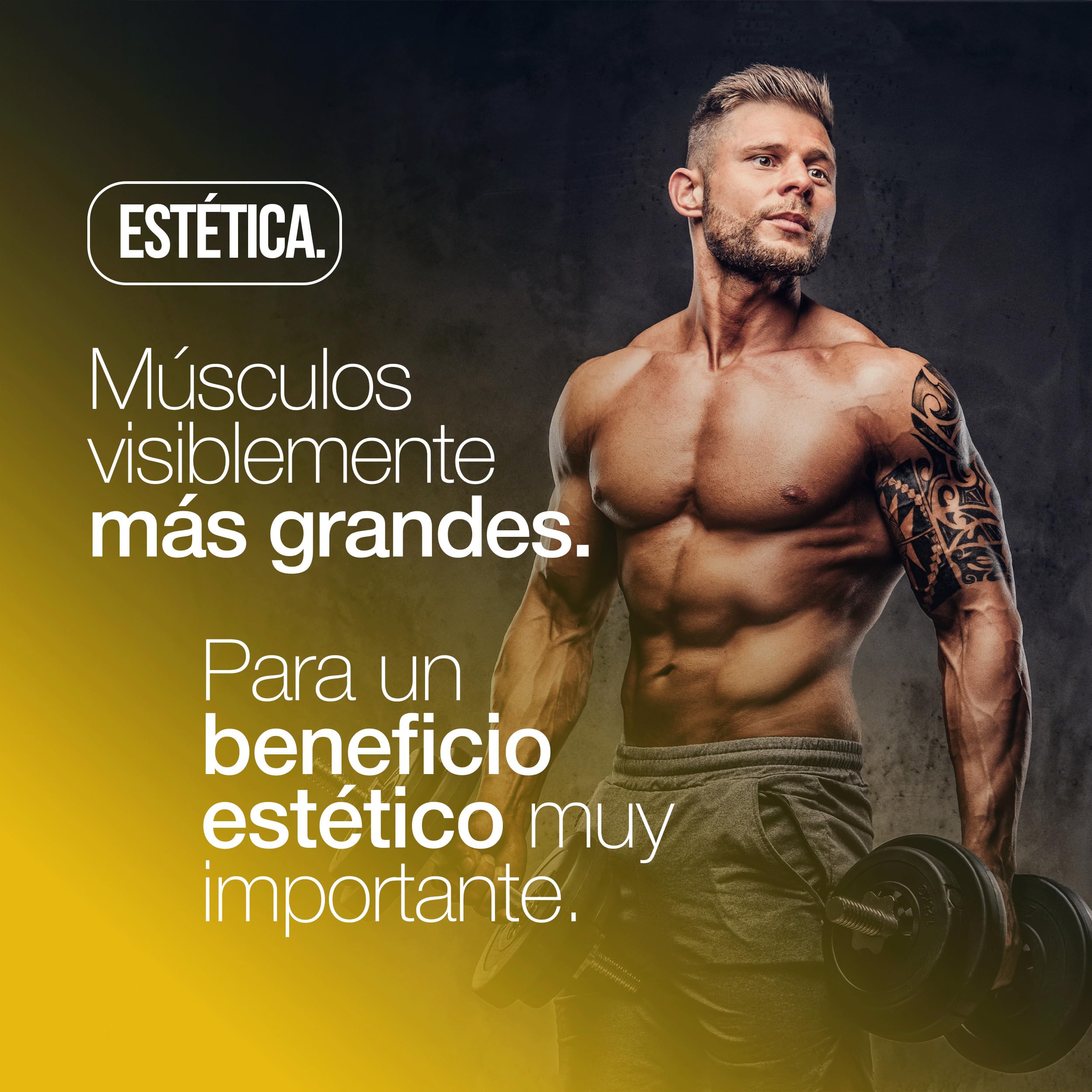Creatina Monohidratada 120 Comprimidos con 3000mg de Creatina Pura. Creatina para Aumentar la Masa Muscular, Fuerza y Resistencia Física. Mejora el rendimiento físico. Creatina 100% vegana y Sin OGM
