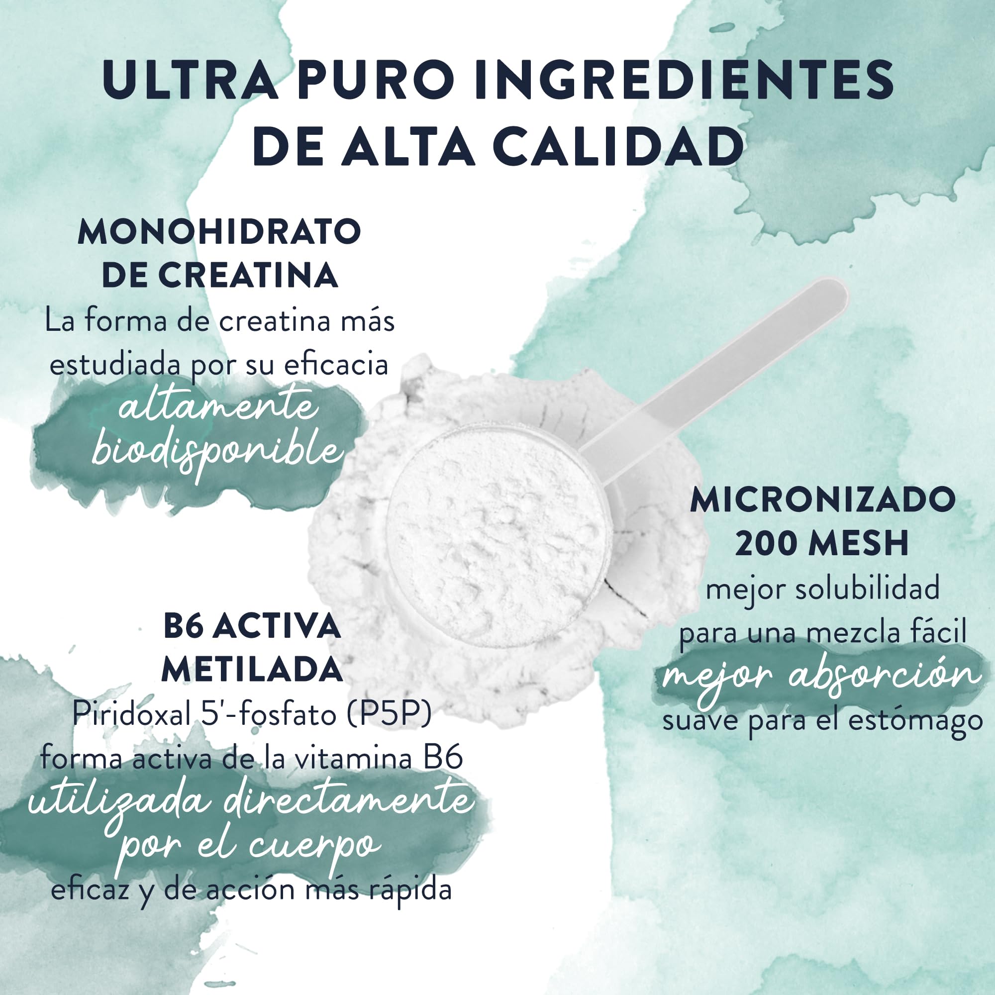 Creatina Monohidratada Micronizada en Polvo 500g -166 Porciones Creatina Vegana-Creatina Monohidrato Pre Entreno y Post Entrenamiento-Creatine Monohydrate con Vitamina B6 - Creatina en Polvo sin Sabor