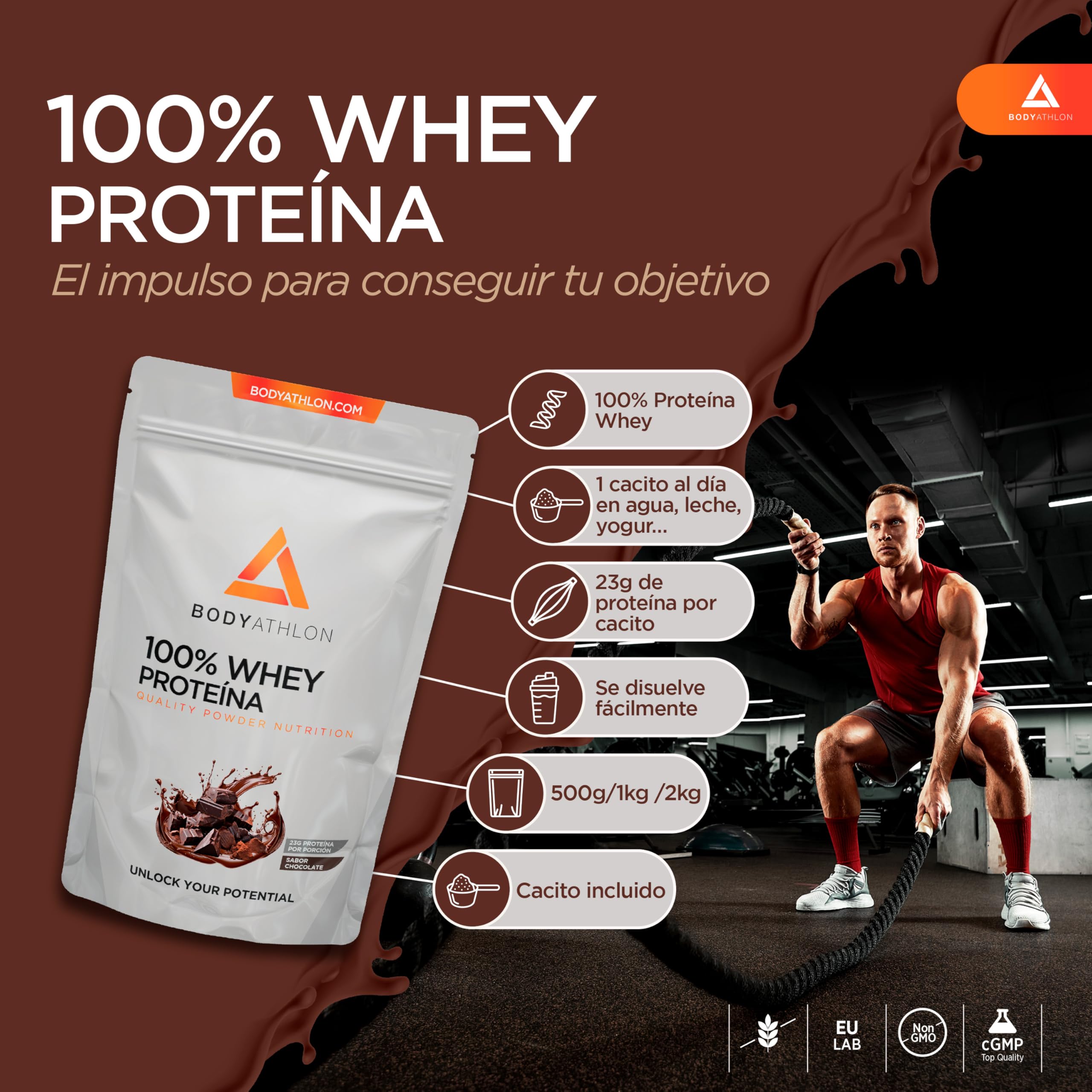 100% Whey Protein Chocolate – Proteina en Polv para Ganar Masa Muscular– de Suero de Leche- Protein Masa Muscular - Sin lecitina de soja, Sin Gluten- Bodyathlon (500g, Chocolate)