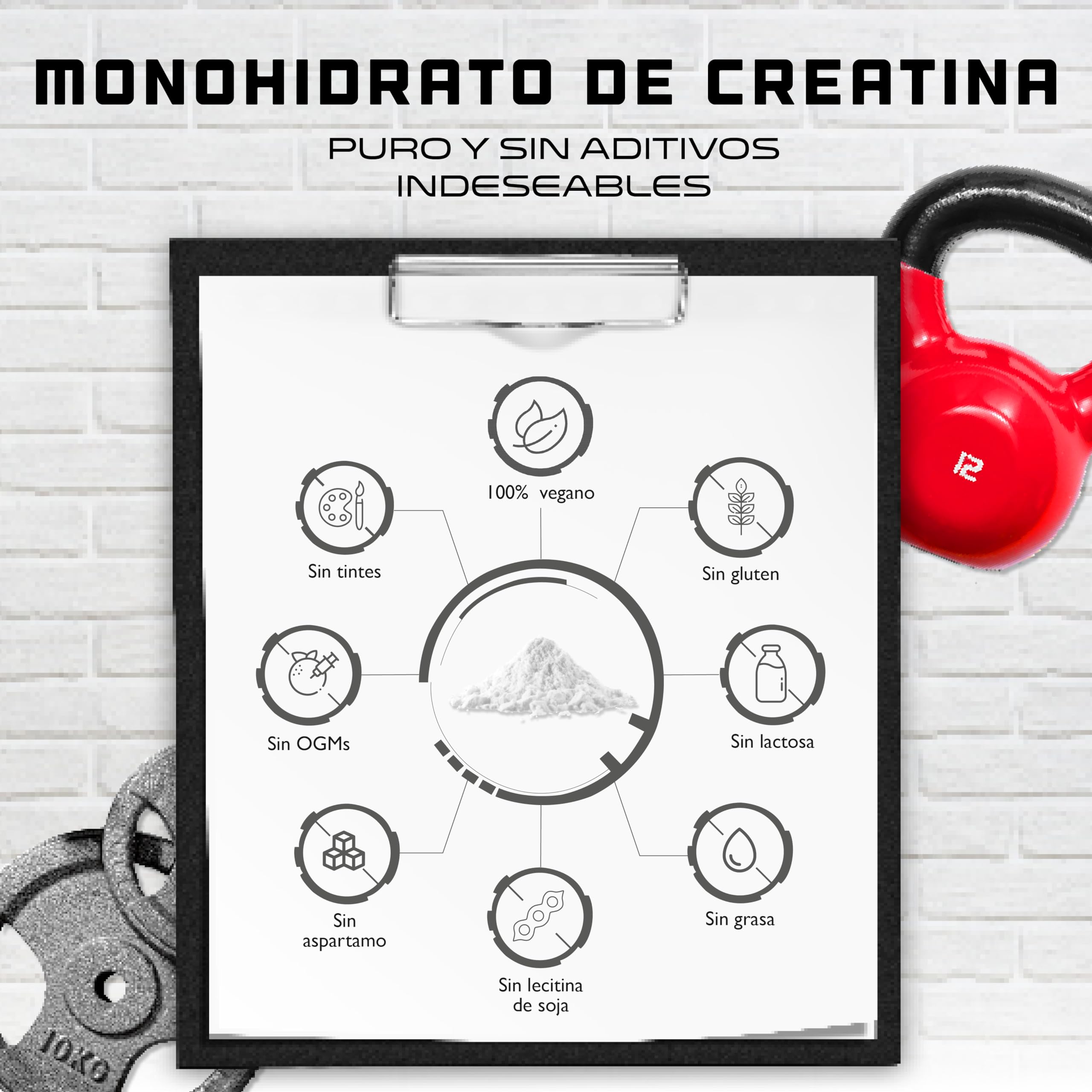 Creatina en polvo - 1kg / 1000 g - Creatina monohidrato en polvo - Óptima solubilidad y microfina - Vegano - 293 aplicaciones