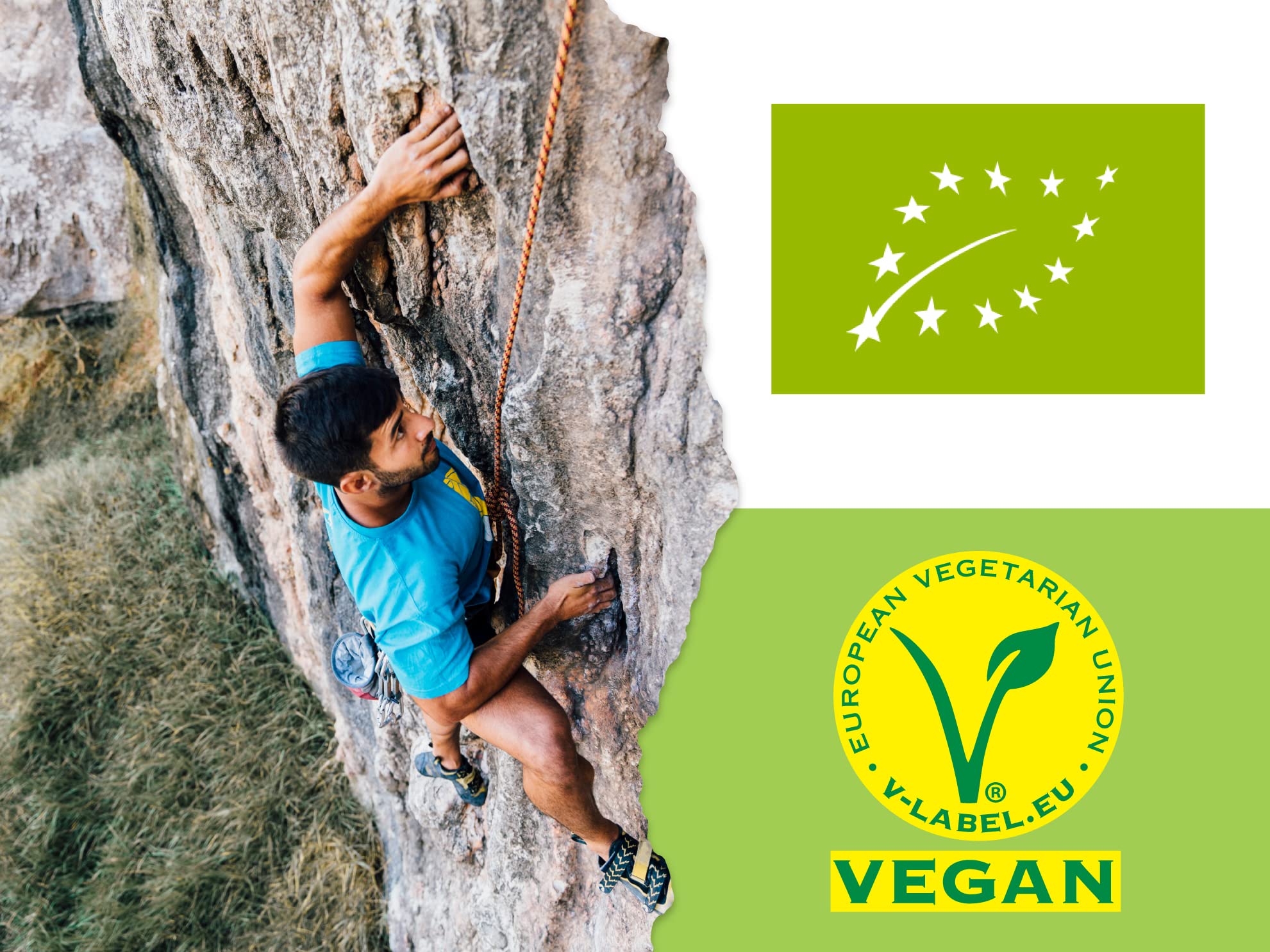 Proteína Vegana Sabor Chocolate en Polvo 100% - 400 g - Ideal para Dietas, Aumentar o Mantener Masa Muscular - Sin Lactosa ni Gluten - Glorioso Super Nutrients