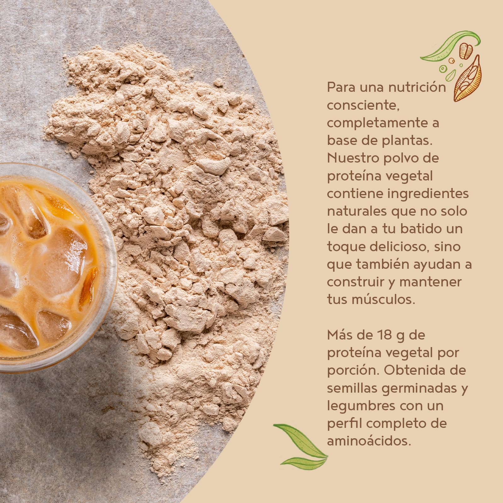 LIMITED EDITION Proteína Vegana en Polvo | Sabor Crema de Vainilla con Café | 100% Proteina Vegana | 18g dosis Vegan Protein Powder de Guisante, Arroz y Girasol | Masa Muscular | 600g | Alpha Foods