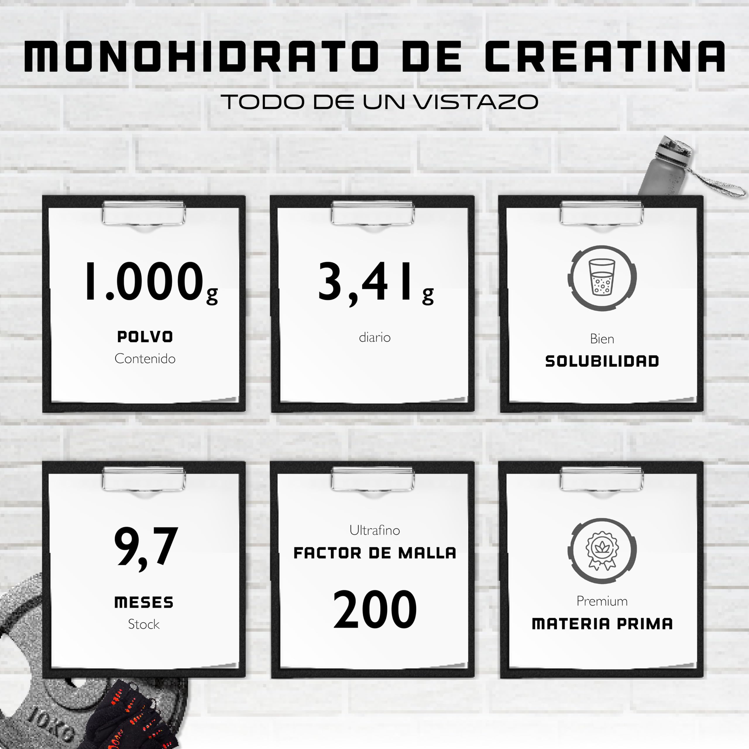 Creatina en polvo - 1kg / 1000 g - Creatina monohidrato en polvo - Óptima solubilidad y microfina - Vegano - 293 aplicaciones