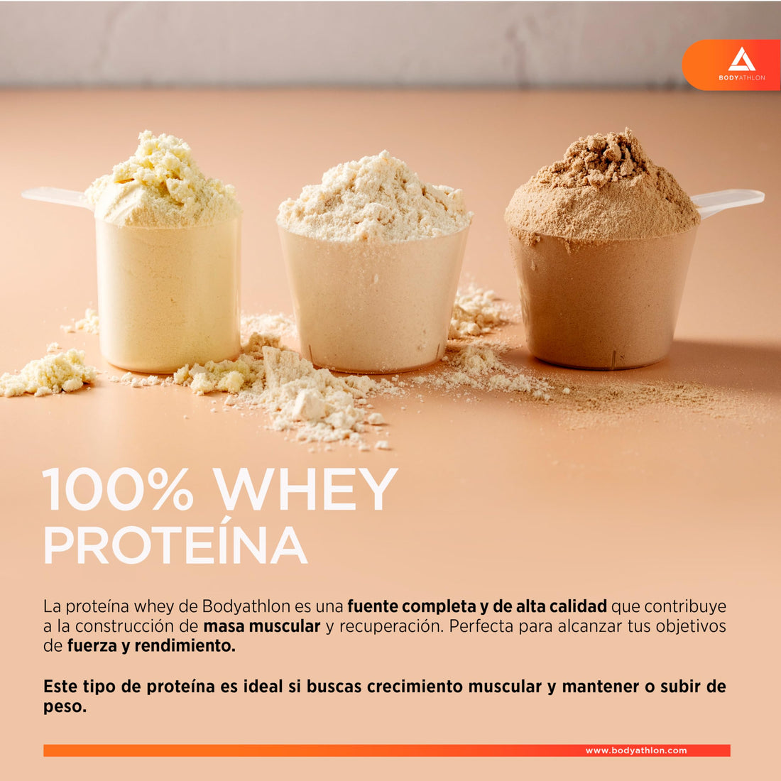 100% Whey Protein Chocolate – Proteina en Polv para Ganar Masa Muscular– de Suero de Leche- Protein Masa Muscular - Sin lecitina de soja, Sin Gluten- Bodyathlon (500g, Chocolate)
