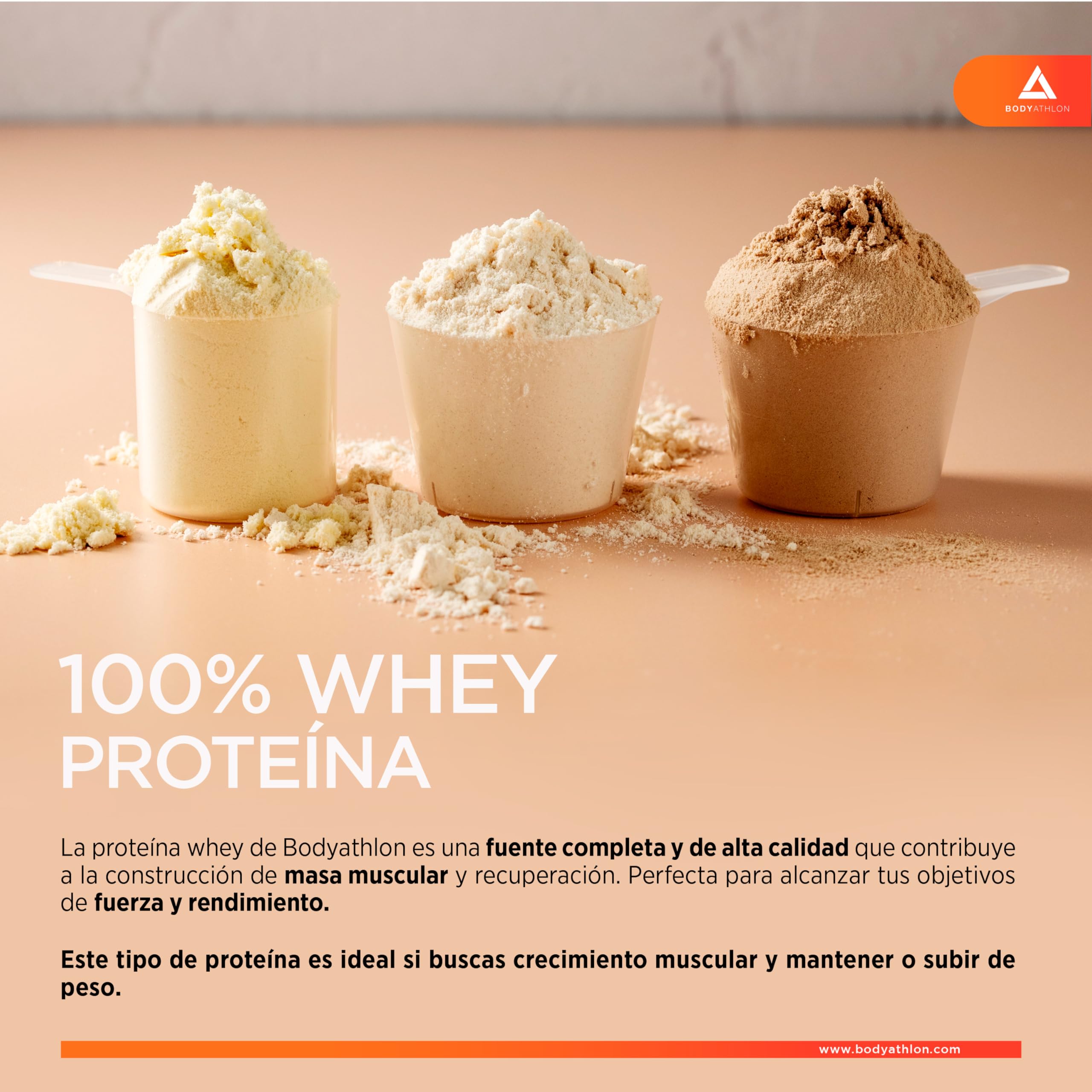 100% Whey Protein Chocolate – Proteina en Polv para Ganar Masa Muscular– de Suero de Leche- Protein Masa Muscular - Sin lecitina de soja, Sin Gluten- Bodyathlon (500g, Chocolate)