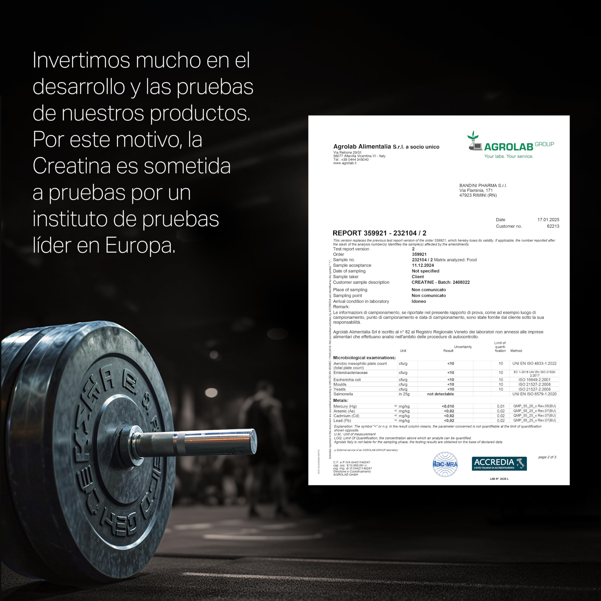 Bandini® Creatina en Polvo Micronizada - Monohidrato de Creatine 100% Puro para Rendimiento y Potencia Muscular - Sin Sabor - Incluye dosificador - 88 Porciones - 300 gramos Vegano - Creatine Powder