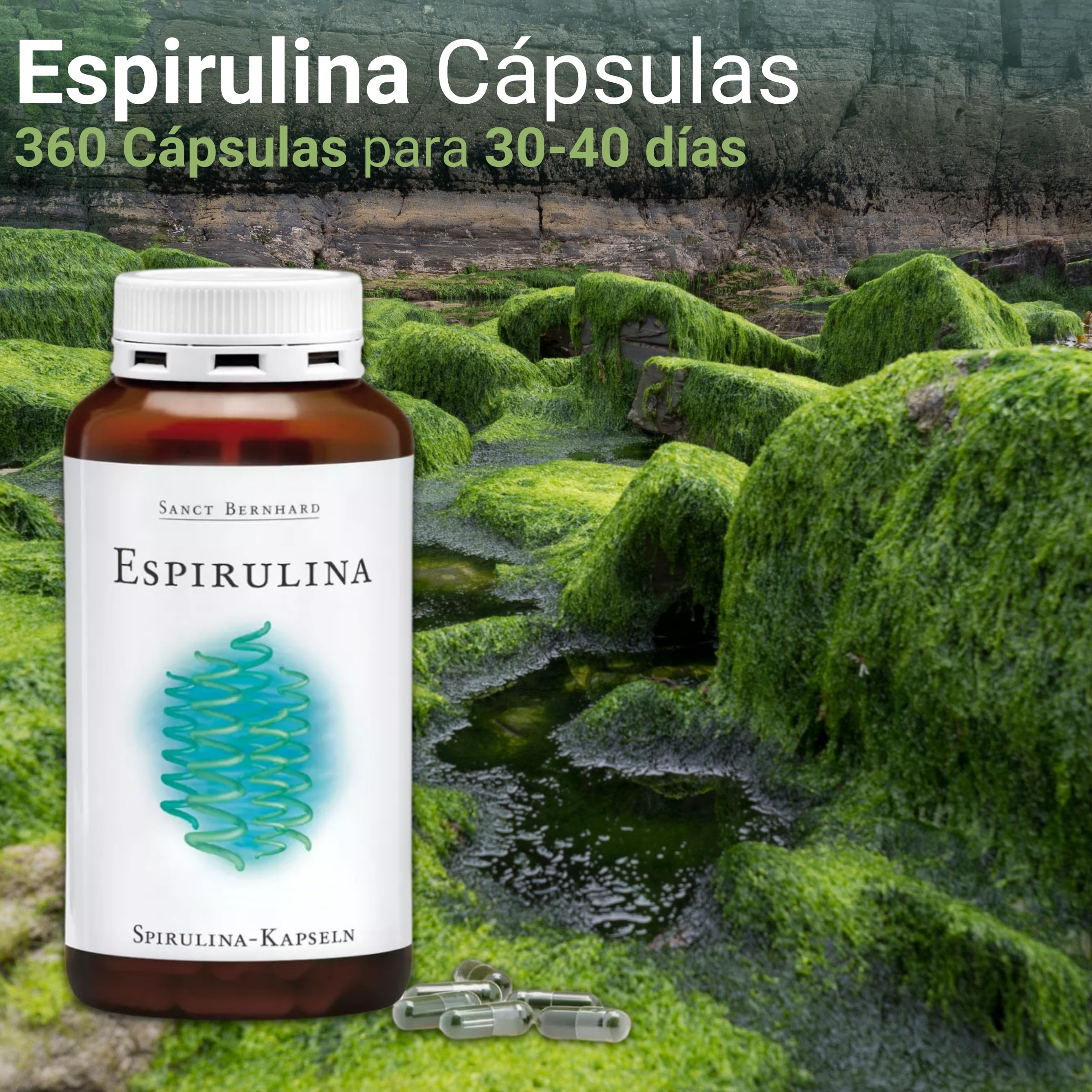 Espirulina pacifica de Hawaii - 360 Cápsulas - por su elevada pureza la spirulina pacifica Hawaii está considerada la más nutritiva, 300 mg de espirulina por cápsula - Sanct Bernhard - Cebanatural