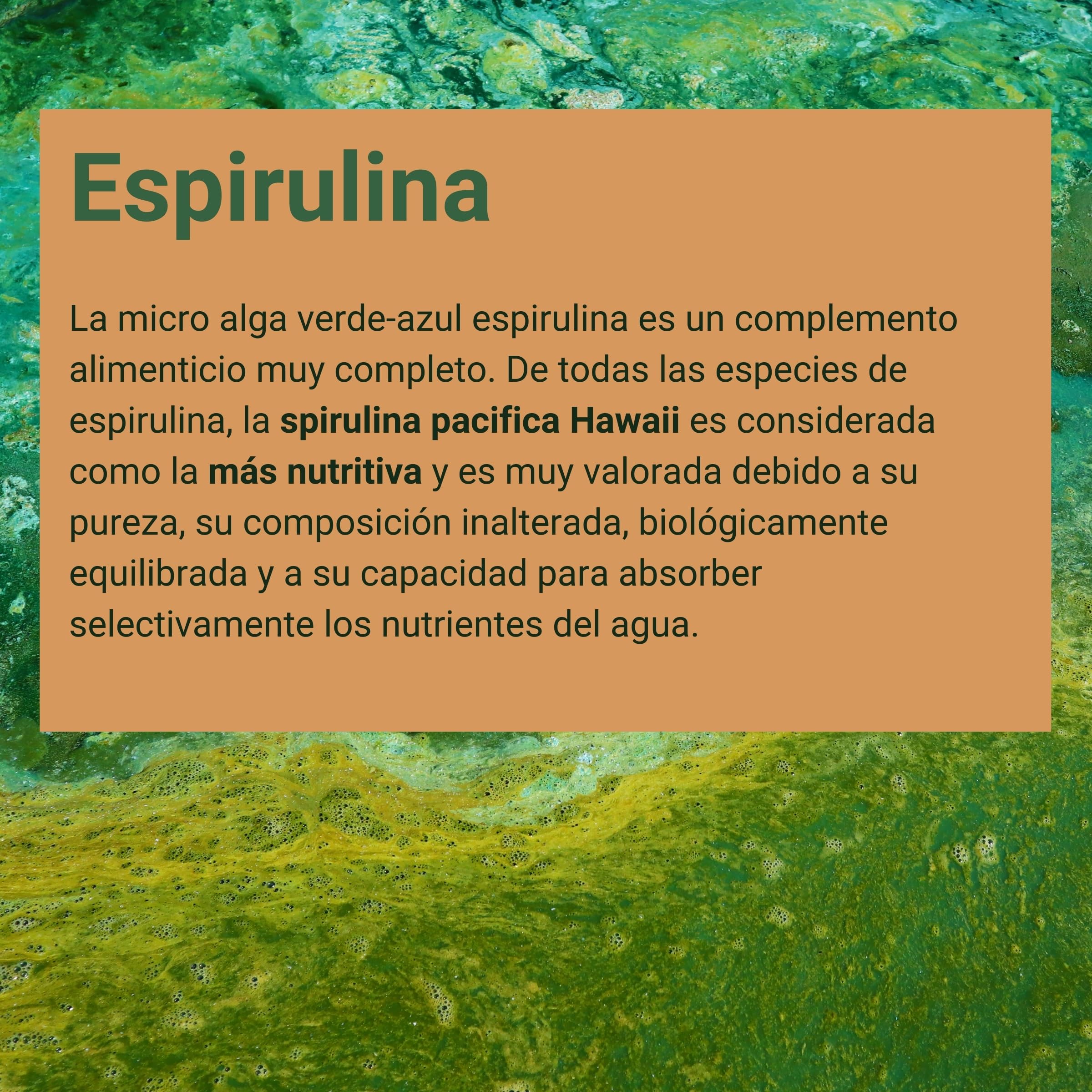 Espirulina pacifica de Hawaii - 360 Cápsulas - por su elevada pureza la spirulina pacifica Hawaii está considerada la más nutritiva, 300 mg de espirulina por cápsula - Sanct Bernhard - Cebanatural